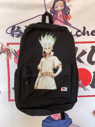 Sac dr stone