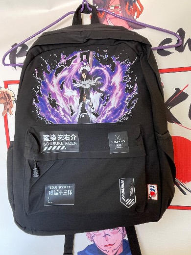 Sac AIZEN